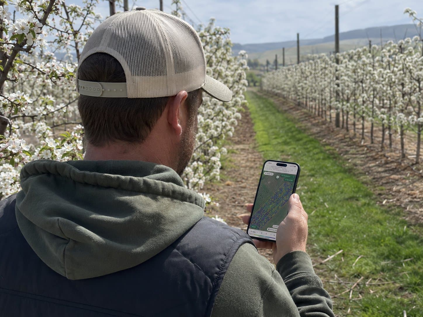 Vertically-integrated apple farm